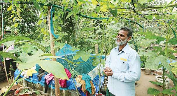 ಪುಟ್ಟ ಮನೆಯೊಳಗೇ ಮೀನು, ತರಕಾರಿ ಬೆಳೆಸಿ ಆದಾಯ ಗಳಿಸುತ್ತಿರುವ ಸುಲೈಮಾನ್